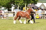 SBM_08555