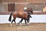 BPP_0841