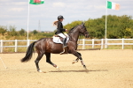 SBM_006617