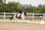 SBM_01482