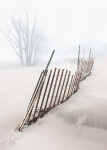 Sand Fence In Fog