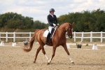 SBM_011834
