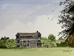 Local scenes portfolio