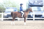 SBM_09101
