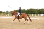 SBM_005924