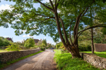 Kelmscott 10
