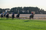 140826-Race 4-Raging Raj-1294