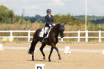 SBM_000529