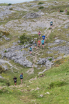 Hutton Roof-381