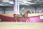 SBM_08141