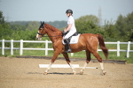 SBM_007977