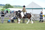 SBM_17156