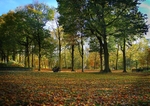 Cinquantenaire Park - November 2012