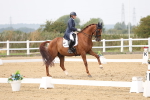 SBM_007531