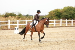 SBM_001459