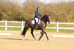 SBM_000779