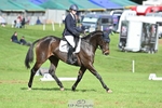 652-QUALITY.CONNIE.WELLS-Mia.Ketcher-DR portfolio