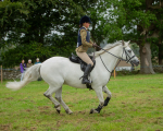 Dunblane show-562