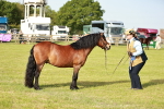 SBM_00602