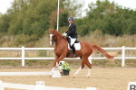 SBM_002015