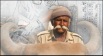 Porbander India bullock cart driver