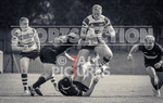 Guernsey Raiders v Barnes_2022-90