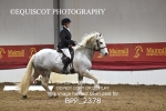 BPP_2378