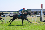150726-Race 5-Naval Light-3550