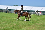 SBM_03749