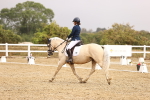 SBM_002077