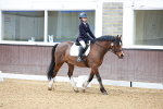SBM_001365