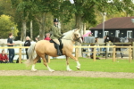 SBM_62658