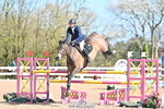Cls 29, YH 6yr 1.20m portfolio