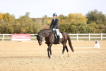 SBM_009534