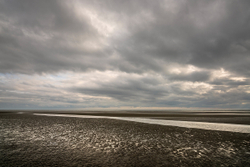 Wittering rippled