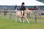 SBM_08482