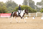 SBM_004623