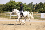 SBM_003666