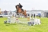 BPP_6874