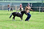 SBM_03380