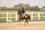 SBM_000264