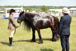 SBM_07161