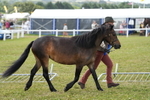 DSC05947