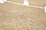 SBM_005450