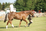 SBM_10435