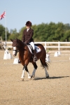 SBM_012781