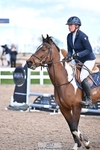 Tuesday 31st Club & Schools - Click to enter portfolio