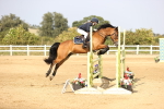 SBM_03893