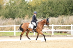 SBM_013220