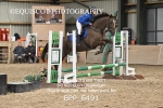 BPP_6491
